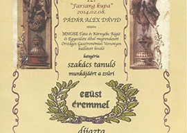 Farsang Kupa Gasztronómiai verseny Tata 2014, ezüstérem